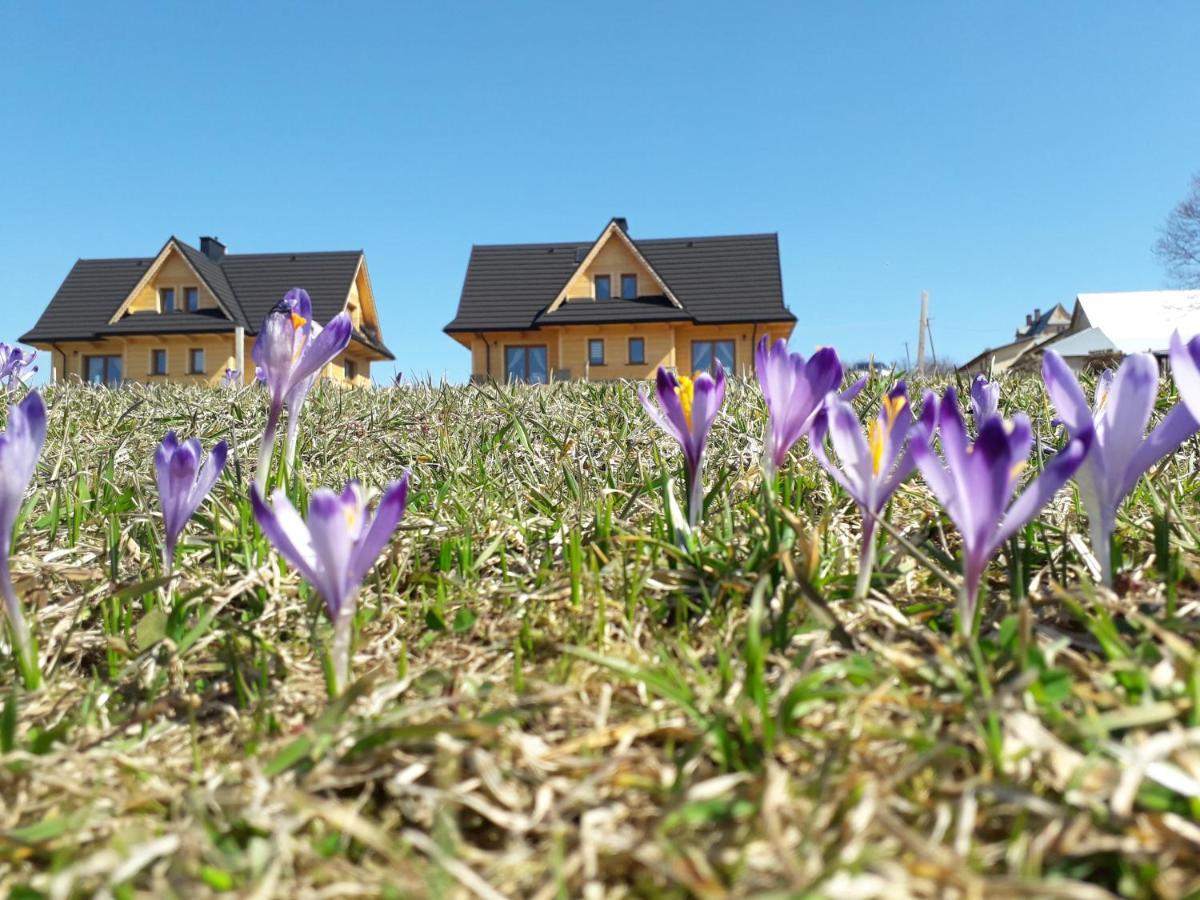 Witowianskie Domki Z Kominkiem, Jacuzzi I Sauna Dzianisz Kültér fotó