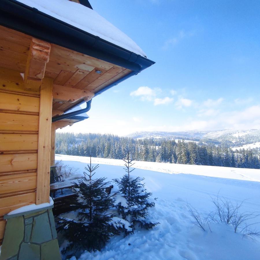 Witowianskie Domki Z Kominkiem, Jacuzzi I Sauna Dzianisz Kültér fotó